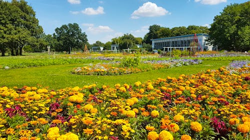 Großes Blumenbeet egapark Erfurt &ndash; &copy; BUGA Erfurt 2021 gGmbH