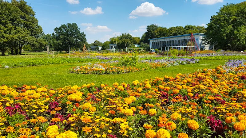 Großes Blumenbeet egapark Erfurt - ©BUGA Erfurt 2021 gGmbH