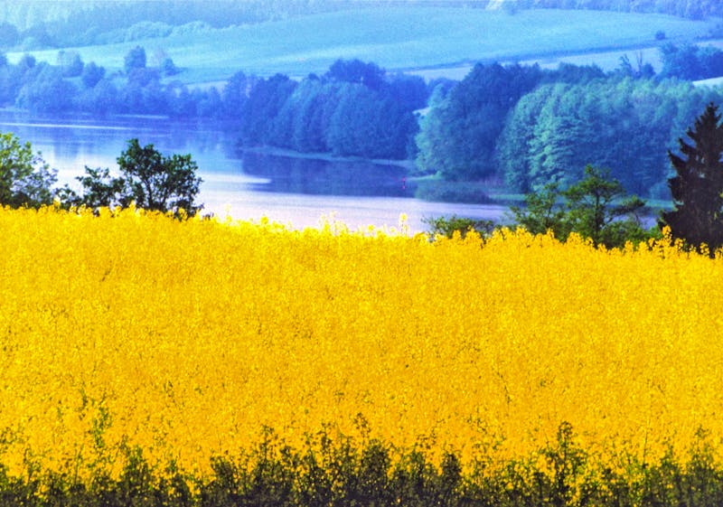 See bei Sensburg - ©Eberhardt TRAVEL