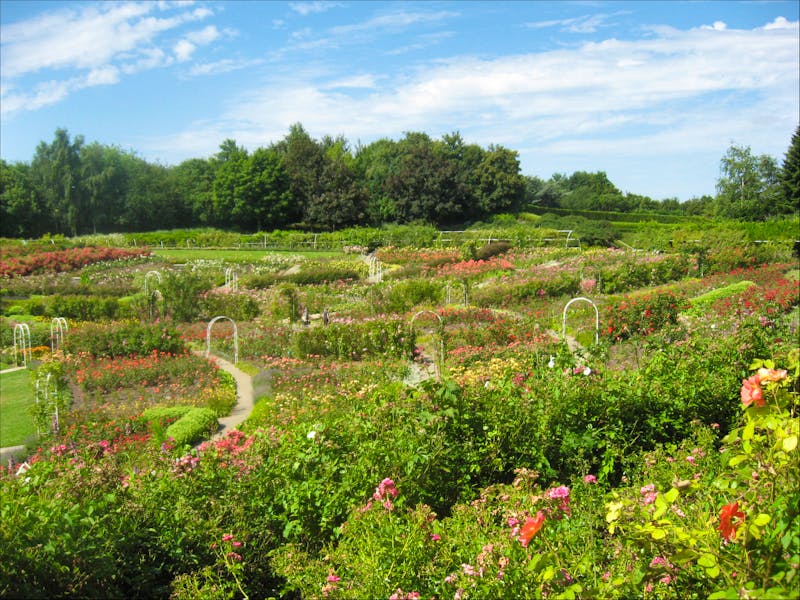 Parc Floral in Caen - Rosengarten - ©Eberhardt TRAVEL - Alexandra Jordan