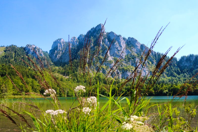 Laudachsee im Salzkammergut - ©Pixabay