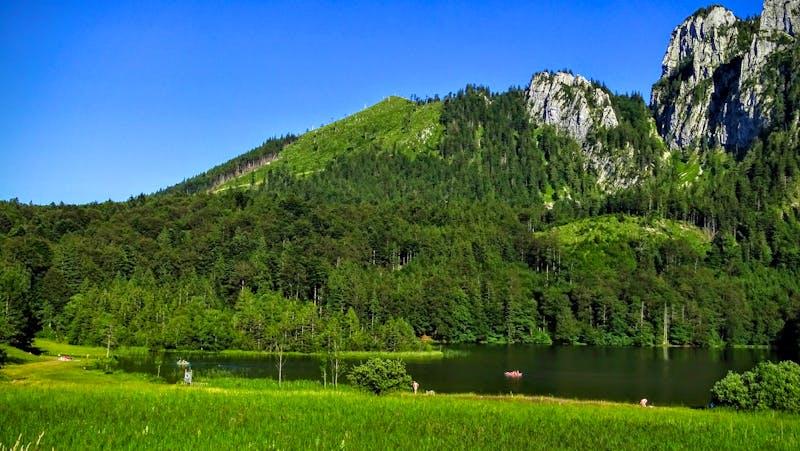 Laudachsee im Salzkammergut - ©Pixabay