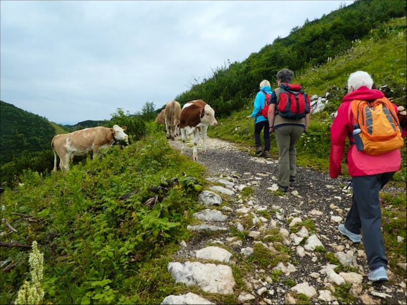 Feuerkogel - Wanderung zum Europakreuz - ©Vicky Kern - Eberhardt TRAVEL