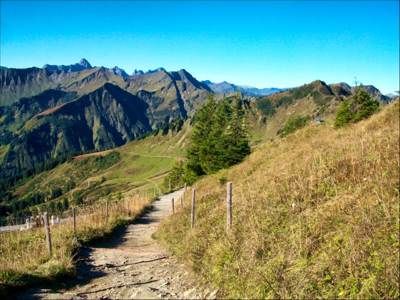 Auf dem Walmendinger Horn - ©Steffen Mucke