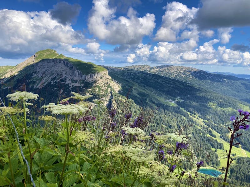 Blick vom Walmendinger Horn - ©Kleemann, Lena