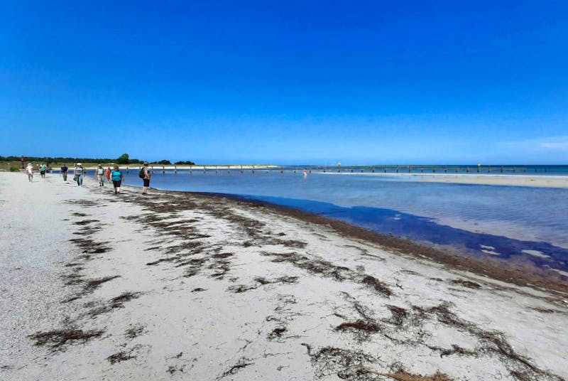Wanderung am Nordstrand von Prerow - ©Eberhardt TRAVEL - Katrin Deutschbein