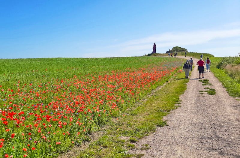 Wanderung an der Hohen Küste zwischen Wustrow und Ahrenshoop - ©Eberhardt TRAVEL - Katrin Deutschbein