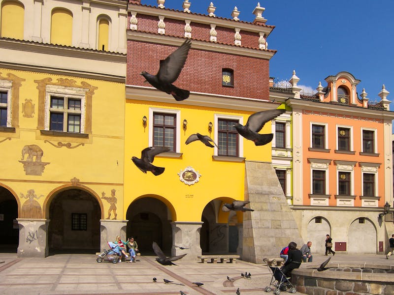 Rynek in Tarnau - ©Tarnów - Tourist Information Centre