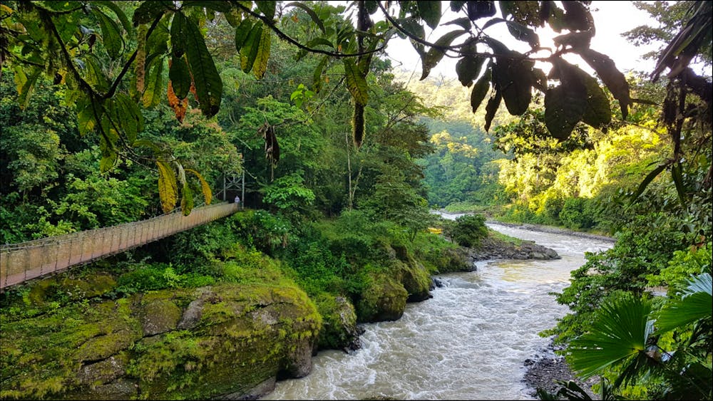 Costa Rica - Pacuare-Fluss - Hängebrücke &ndash; &copy; Ria Heilmann - Eberhardt TRAVEL