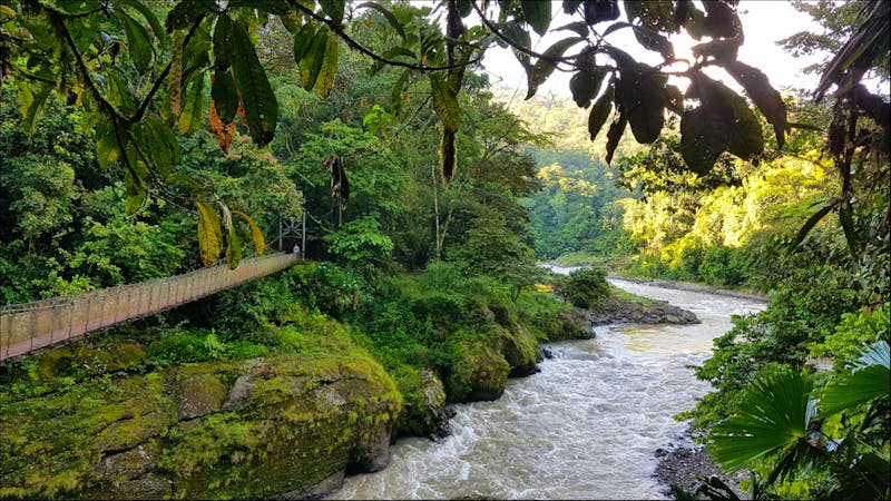 Costa Rica - Pacuare-Fluss - Hängebrücke - ©Ria Heilmann - Eberhardt TRAVEL