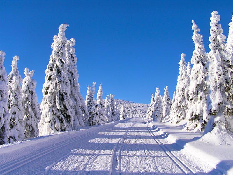 Riesengebirge - verschneite Straße im Winterwald - ©Pixabay