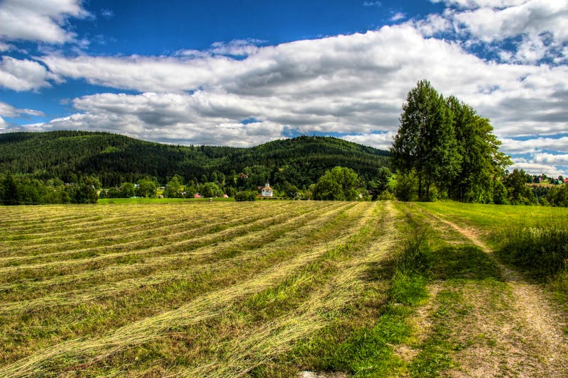 Isergebirge in Tschechien - ©Bild von Stanly8853 auf Pixabay