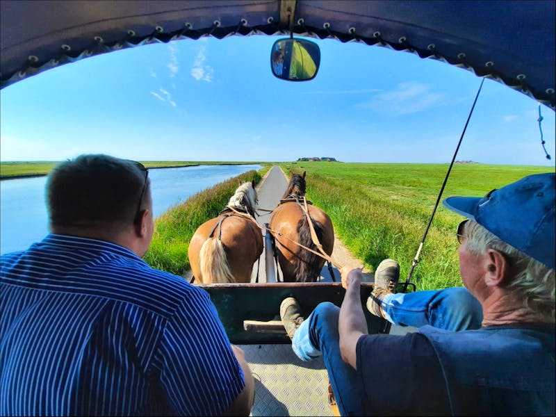 Kutschfahrt an der Nordsee - ©Eberhardt TRAVEL - Franziska Bergmann