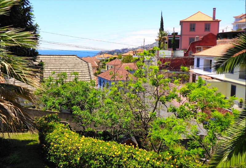 Blick von Marias Kräutergarten auf Funchal  - ©Eberhardt TRAVEL - Martina Häselbarth