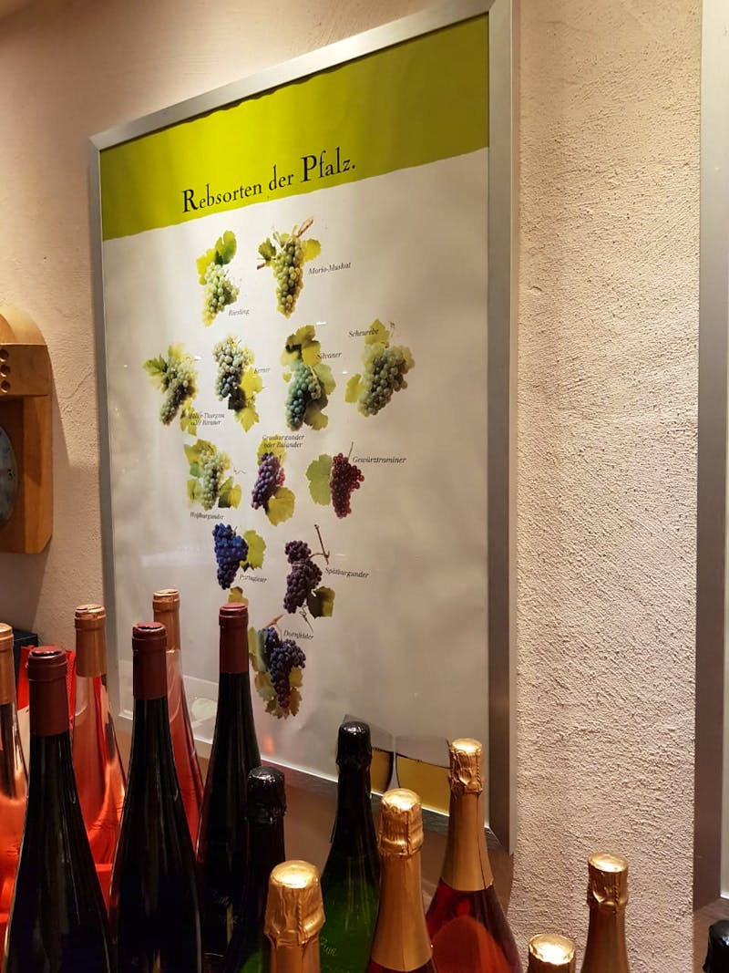 Pfalz Wein - ©Sophia Bär