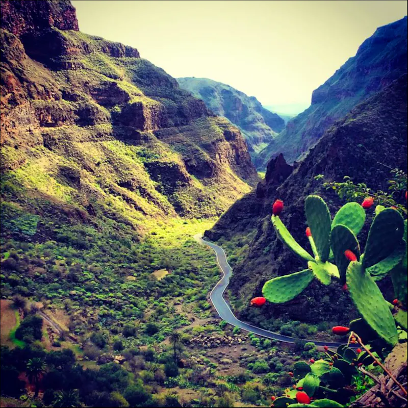 Agüimes - &copy;Rebekka Böhme