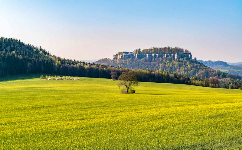 Festung Königstein - ©Achim Meurer - achimmeurer.com