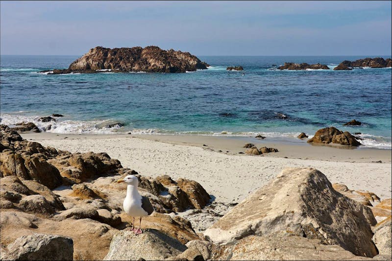 Pebble Beach - ©Lars Dittrich