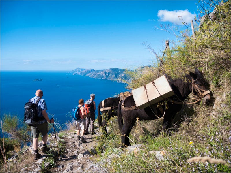 Wanderung auf dem Götterweg - ©Anna Stiebing