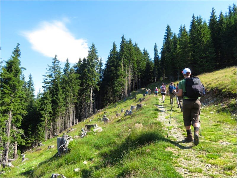 Wanderung zur Schwalbenwand - ©Doreen Päßler