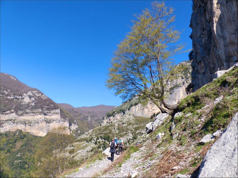 Valle delle Ferriere - ©Margret van Blokland
