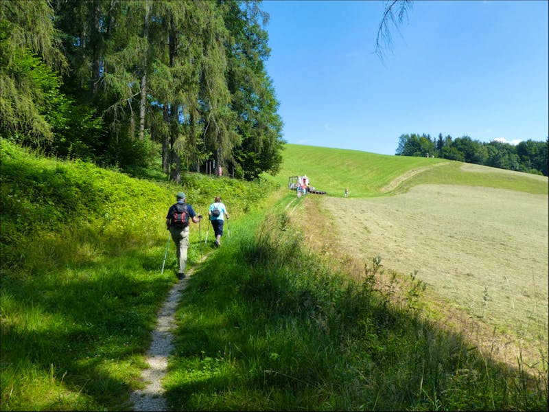Wanderung zum Gmundnerberg - ©Eberhardt TRAVEL - Vicky Kern
