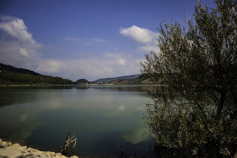 Am Lago Angitola - ©Settimioma - Wikimedia
