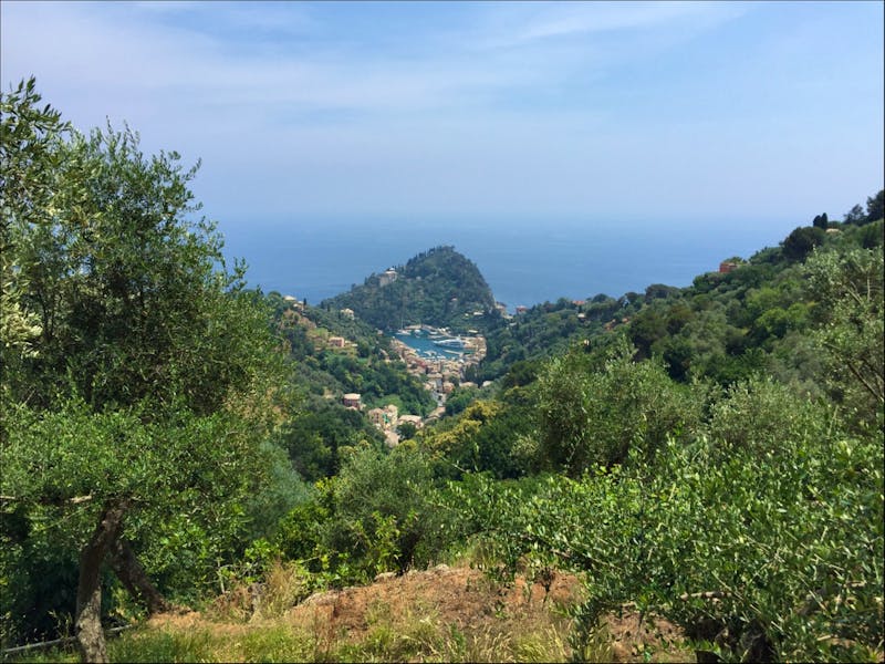Wanderung von San Fruttuoso nach Portofino - ©Patrick Fritzsche