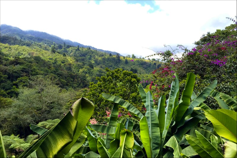 Volcan Poas Nationalpark - ©Astrid Fuhse