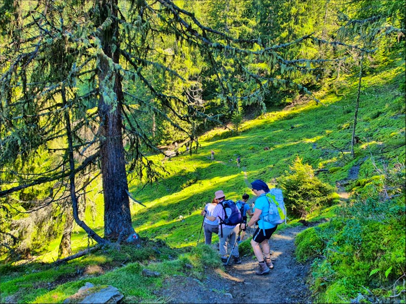 Weg zur Rosskopfhütte in der Wildschönau in Tirol - ©Sophia Bär - Eberhardt TRAVEL