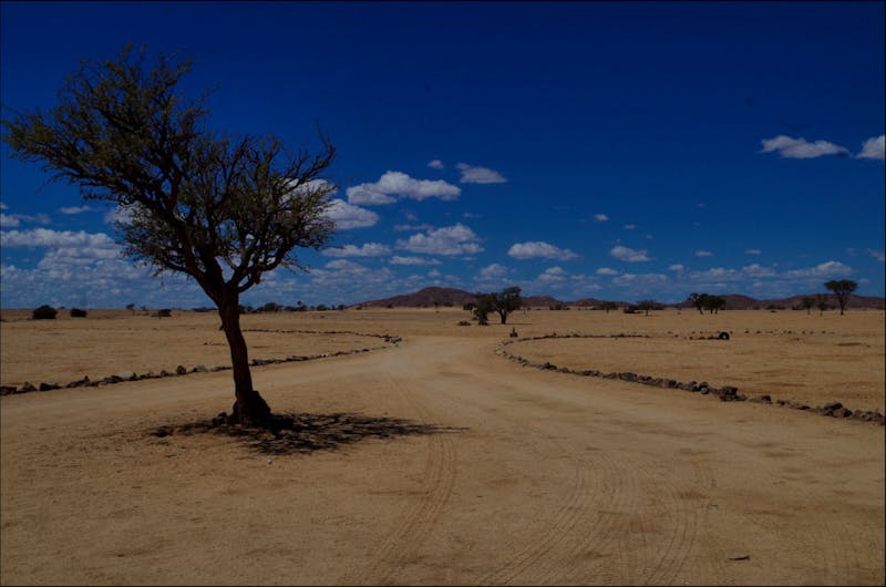 Namibia Nauklauft Park - ©Annett Müller