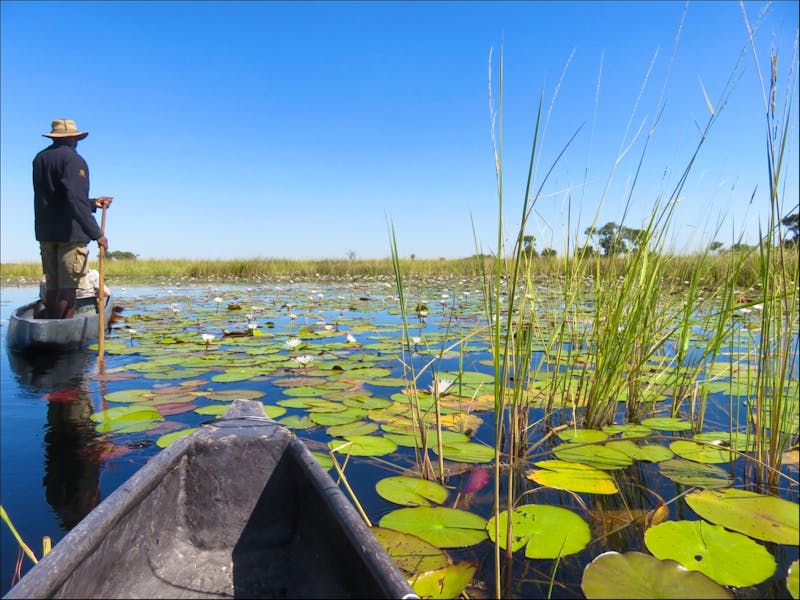 Fahrt mit den Mokoros im Okawango-Delta - ©Annette Weise