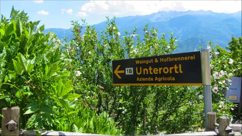 Zum Weingut Unterortl - &copy;Doreen Päßler