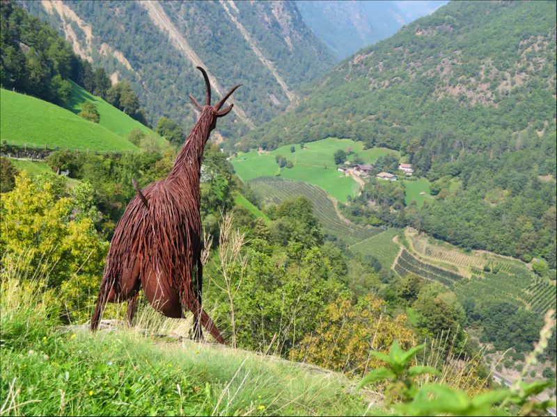 Blick von Juval ins Schnalstal - &copy;Dr. Jürgen Schmeißer
