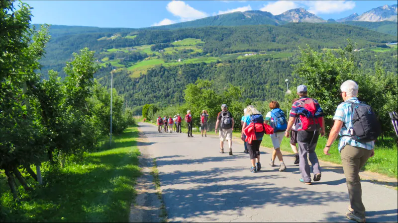 Durch die Apfelplantagen nach Obermontani - &copy;Doreen Päßler