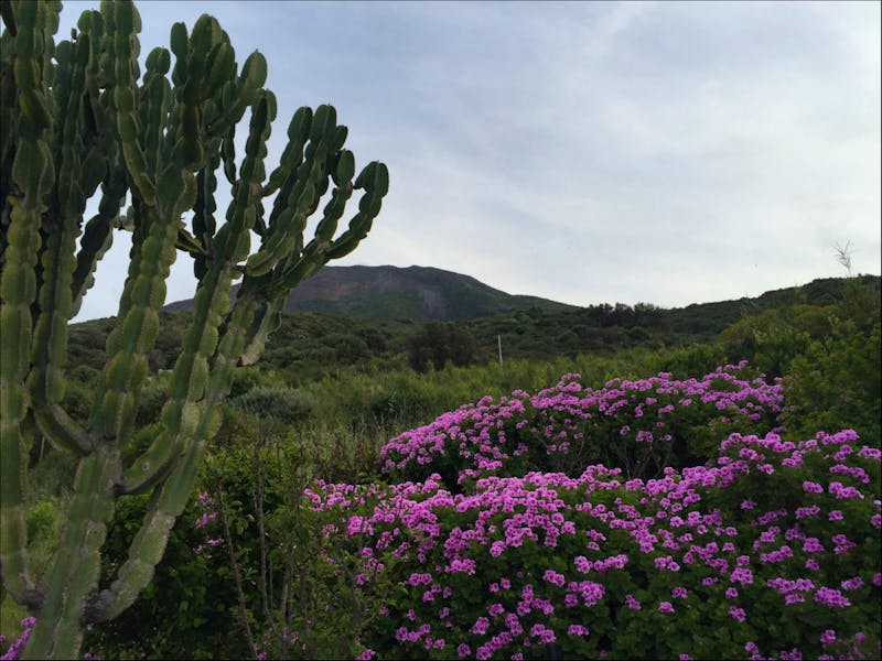 Stromboli - Wanderung zum alten Observatorium - ©Patrick Fritzsche