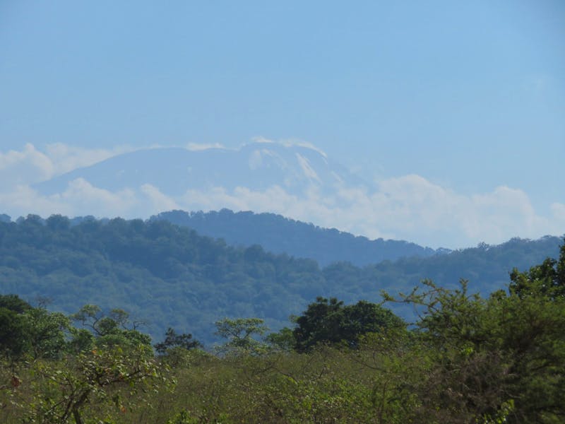 Arusha-Nationalpark - Blick zum Kilimanjaro - ©Annette Weise