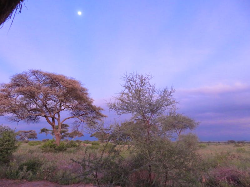 Tarangire Simba Lodge - Morgenstimmung - ©Annette Weise