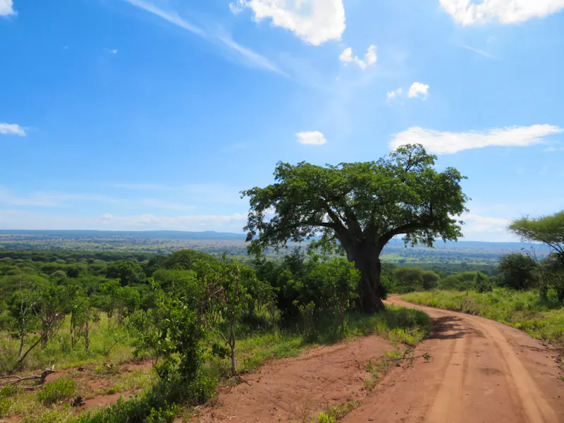 Tarangire Nationalpark - &copy;Annette Weise