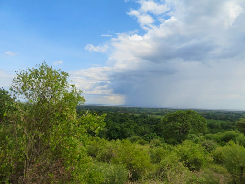 Lake Manyara-Nationalpark - ©Annette Weise