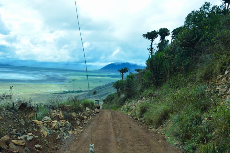 Ngorongoro - Kratereinfahrt - ©Prof. Dr. Hubert Lücker