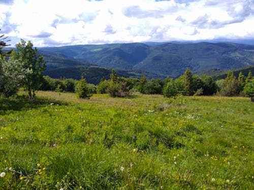 Blick von der Vogesenkammstraße  &ndash; &copy; Florian Härtl