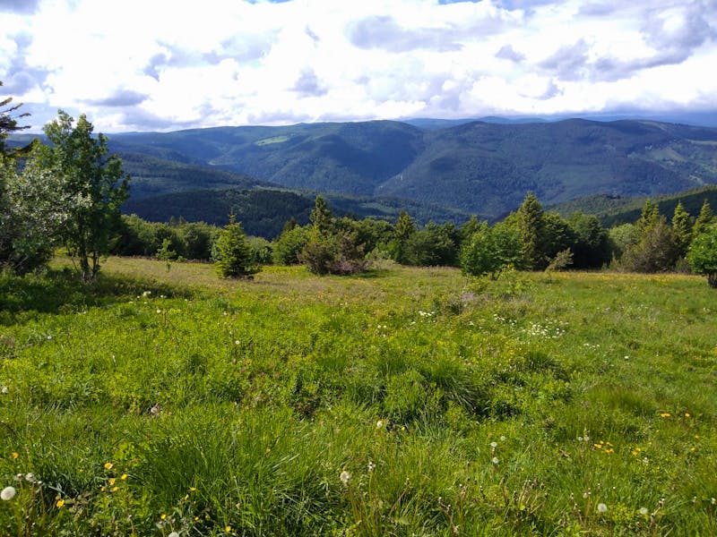 Blick von der Vogesenkammstraße  - &copy;Florian Härtl