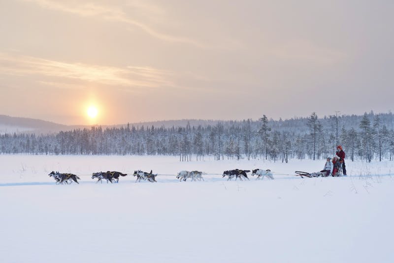Hundeschlitten - ©Anna Öhlund – imagebank.sweden.se
