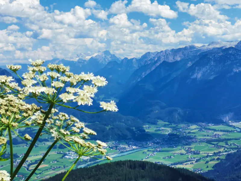 Ausblick von der Roßfeldpanoramastraße - &copy;Simone Willner