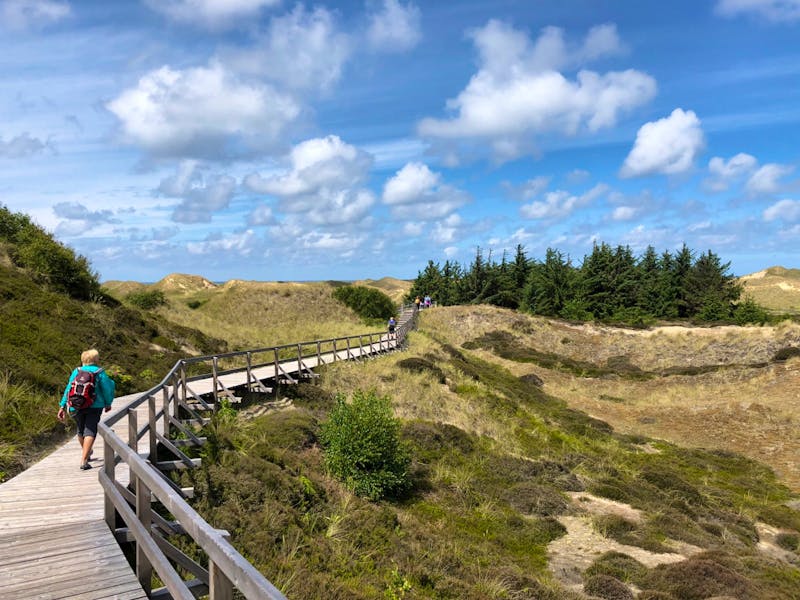 Wanderweg durch die Dünen auf der Insel Amrum - ©Eberhardt TRAVEL - Diana Mendel