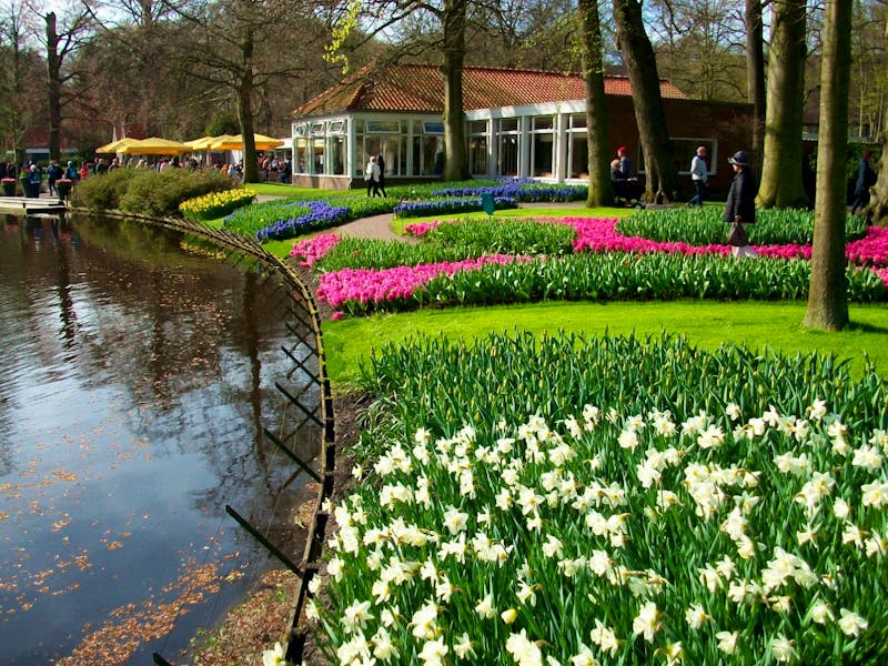 Im Keukenhof - ©Eberhardt TRAVEL - Steffen Mucke