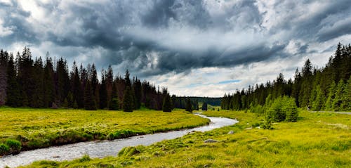 Die Moldau im Biosphärenreservat Šumava im Böhmerwald &ndash; &copy; Pixabay