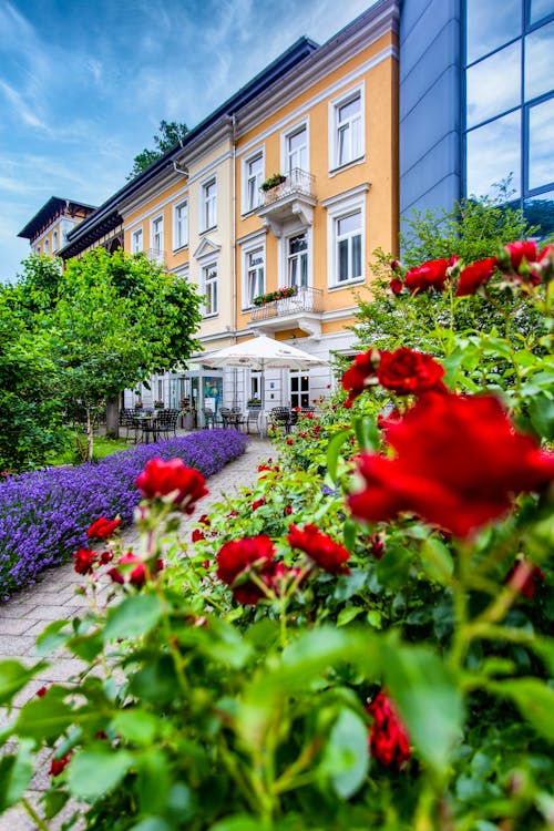 Hotel Lindenhof &ndash; &copy; Hotel Lindenhof