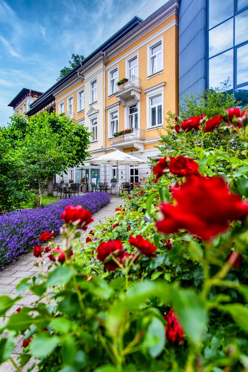 Hotel Lindenhof – ©Hotel Lindenhof